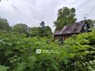 Пищевик тер. СНТ